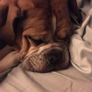 Meet your Posher, Jenn